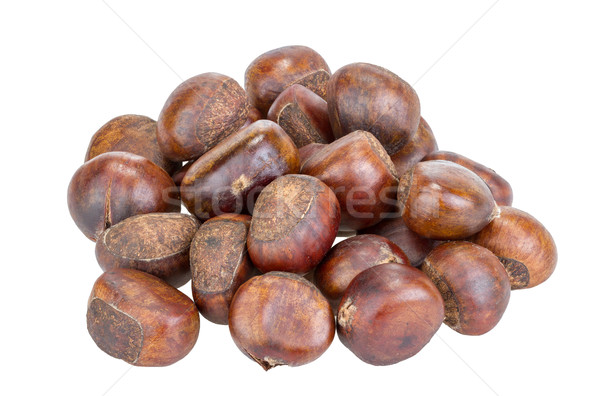chestnut isolated on white Stock photo © supersaiyan3