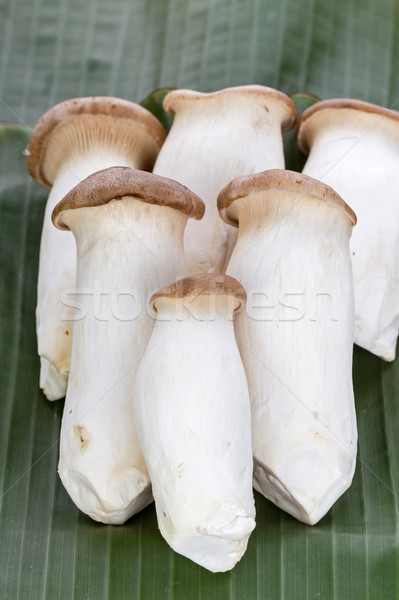 Сток-фото: гриб · банан · лист · зеленый · продовольствие · трубы
