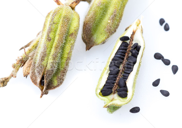 Impianto nero sesamo chiuso up bianco Foto d'archivio © supersaiyan3