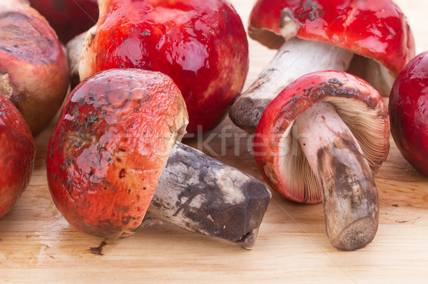 Stock foto: Frischen · rosig · Pilze · Holz · Platte · rot