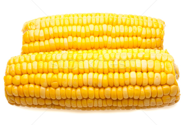 Corn-cob isolated Stock photo © Supertrooper