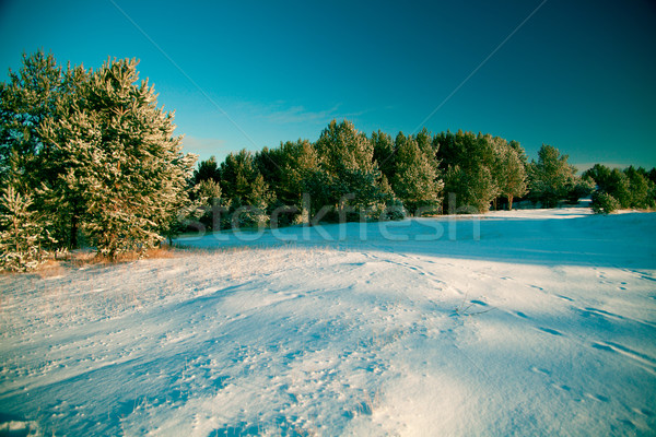Winter landscape Stock photo © Supertrooper
