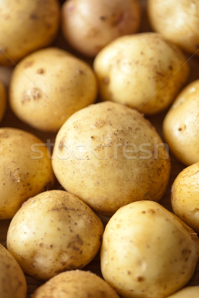 Fresh potatoes Stock photo © Supertrooper