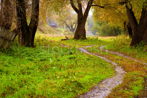Autumn landscape Stock photo © Supertrooper