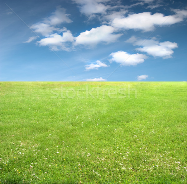 Stockfoto: Natuur · groen · gras · horizon · blauwe · hemel · weinig