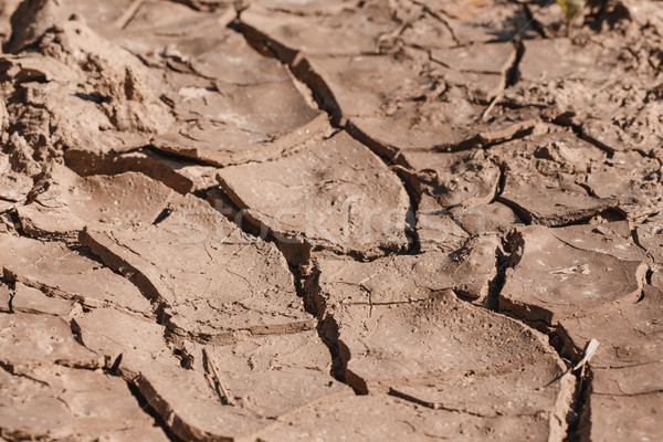 Stock photo: Dry soil closeup