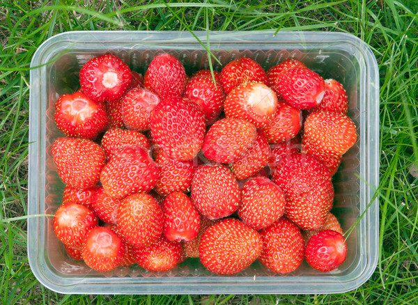 Strawberries Stock photo © Supertrooper