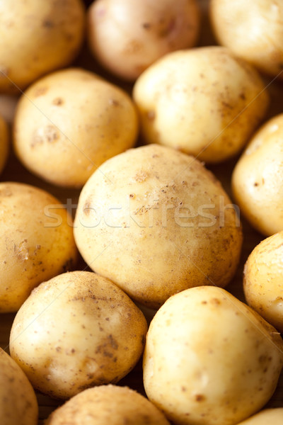 Potatoes close-up Stock photo © Supertrooper