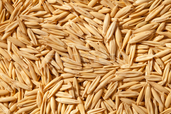 Unshelled oats Stock photo © Supertrooper