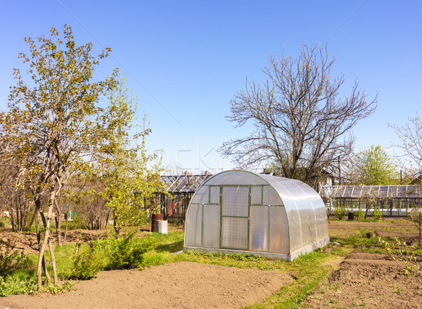 Stock photo: Modern Polycarbonate Greenhouse