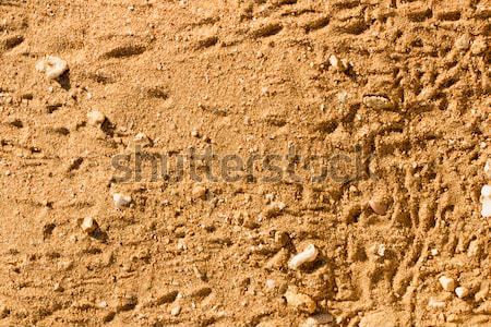 Pustyni piasku tekstury Egipt Zdjęcia stock © Supertrooper