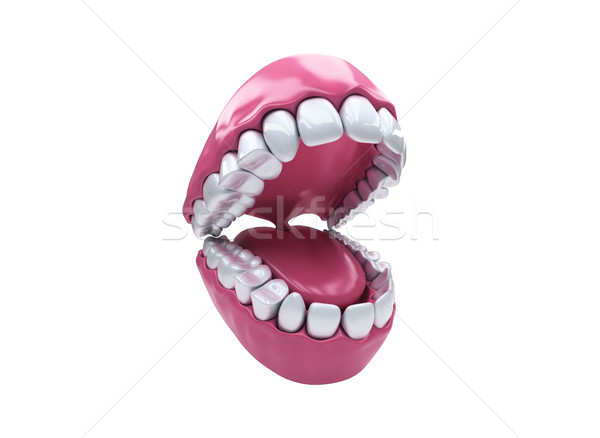 Permanent teeth, adult dentition Stock photo © Supertrooper