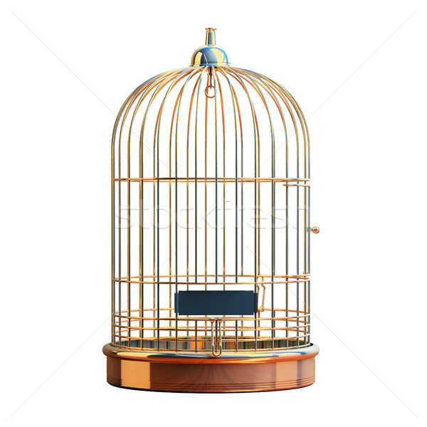 Vide doré cage isolé oiseau or [[stock_photo]] © Supertrooper