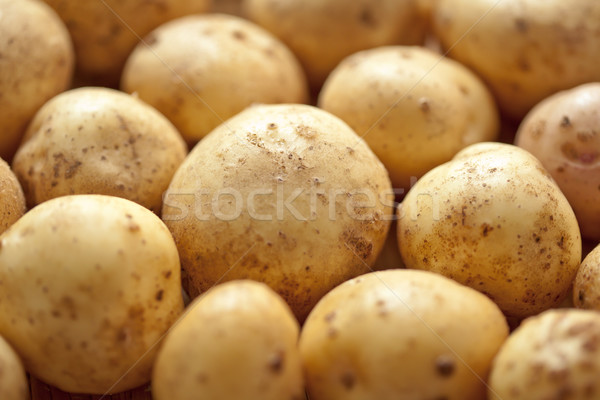 Fresh potatoes Stock photo © Supertrooper
