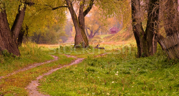 Miękkie jesienią kolory ciszy krajobraz starych Zdjęcia stock © Supertrooper