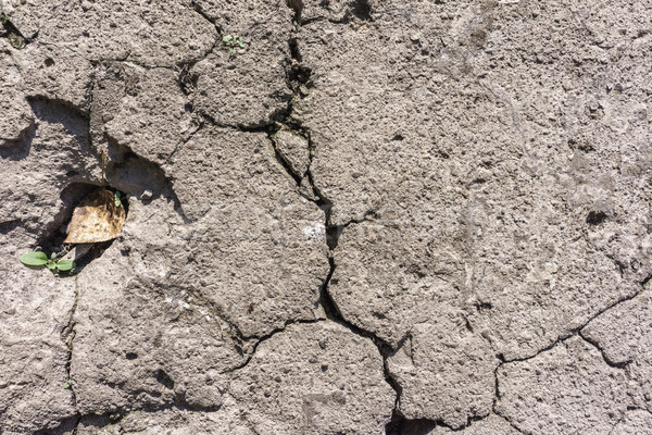 Concrete With Cracks Stock photo © Supertrooper