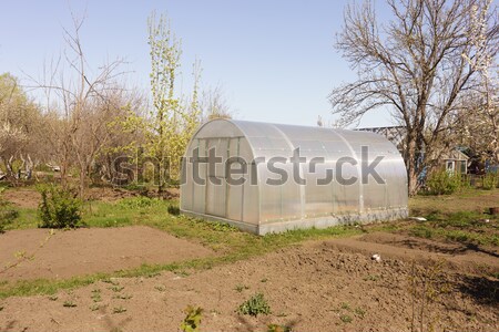 Greenhouse Stock photo © Supertrooper