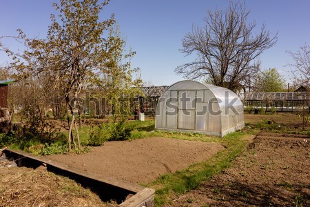 Gewächshaus wenig Luft Garten Gemüse Landwirtschaft Stock foto © Supertrooper