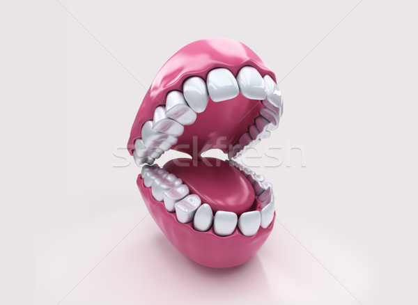 Permanent teeth, adult dentition Stock photo © Supertrooper