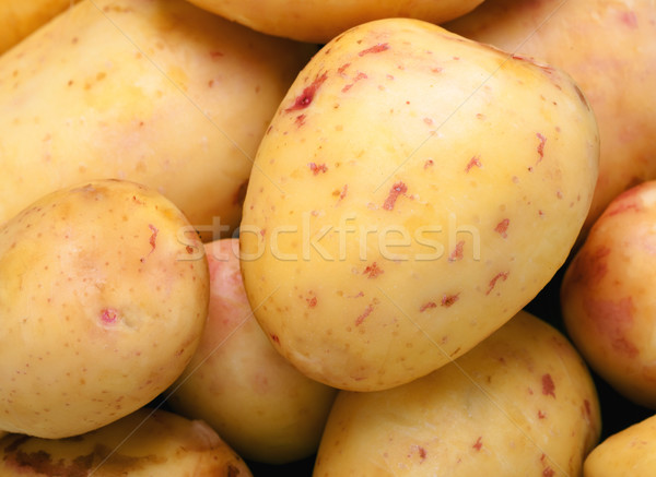 Potatoes close-up Stock photo © Supertrooper