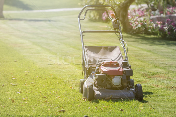 Stock foto: Modernen · Benzin · Rasenmäher · grünen · Wiese · Gartenarbeit