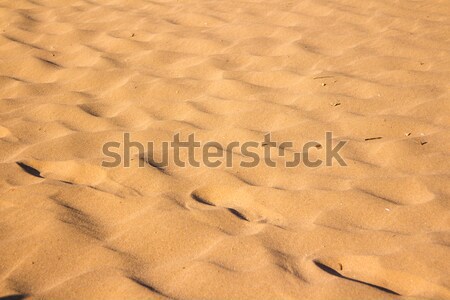 Pustyni piasku tekstury Egipt Zdjęcia stock © Supertrooper