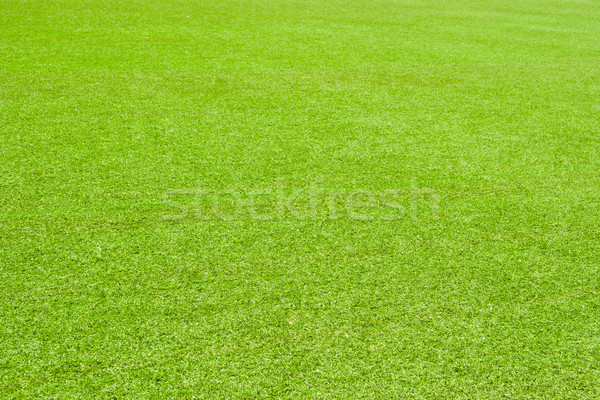 Green grass Stock photo © Supertrooper