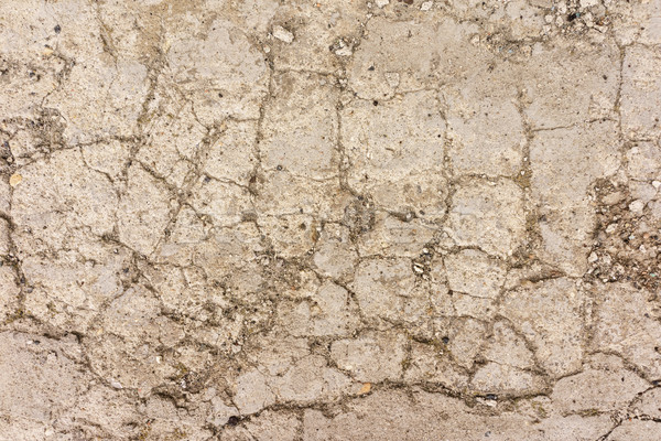 Cracked Cement Background Stock photo © Supertrooper