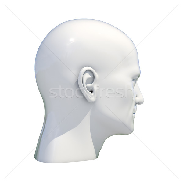 Mannequin Dummy Head Isolated Stock photo © Supertrooper