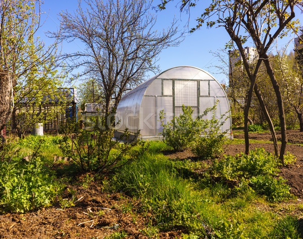 Stock photo: Modern Polycarbonate Greenhouse