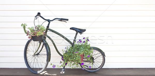 Vecchio nero bicicletta fiori erba muro Foto d'archivio © Suriyaphoto