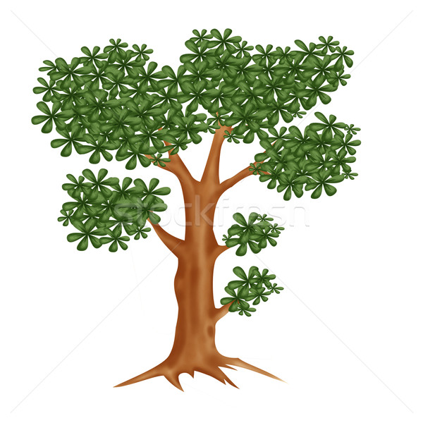 ストックフォト: ツリー · 緑 · 春 · 木材 · 森林 · 夏