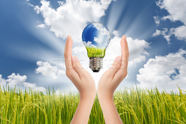 手 節約 全球 綠色能源 解決方案 燈泡 商業照片 © Suriyaphoto