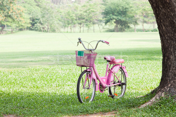 Pembe bisiklet park gökyüzü ağaç çim Stok fotoğraf © Suriyaphoto