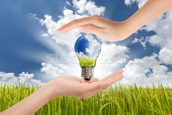 Stockfoto: Handen · besparing · globale · groene · energie · oplossingen · gloeilamp