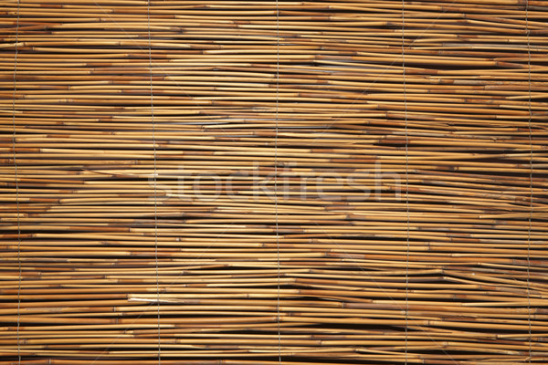 Bambù texture muro desk piano colore Foto d'archivio © Suriyaphoto