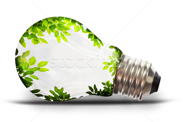 Stock foto: Glühlampe · Reis · Baum · Technologie · Wissenschaft · Gas