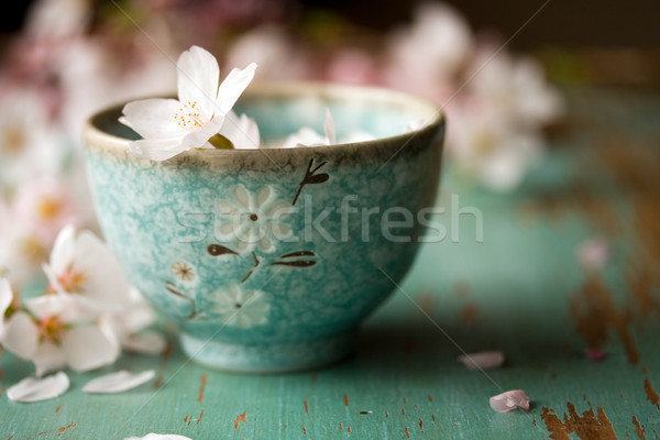Virágok kicsi edény virág asztal fürdő Stock fotó © susabell