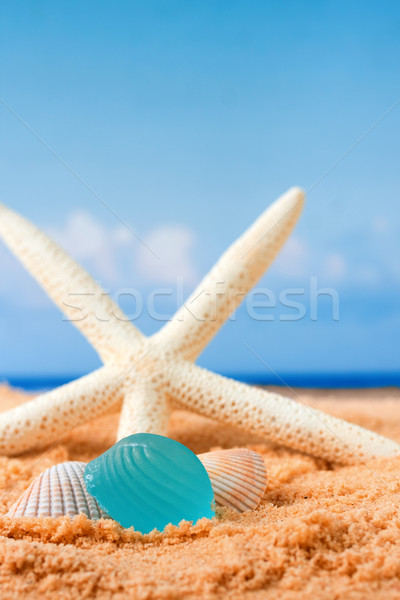 Strand Glas Seestern Sand Stock foto © susabell