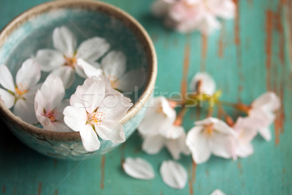 Frühling Blüten Blume Tabelle spa Kirsche Stock foto © susabell