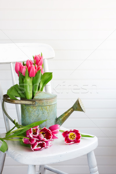Virágok locsolókanna tulipán szék belső fehér Stock fotó © susabell