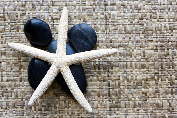 Spa камней Starfish рок черный ухода Сток-фото © susabell