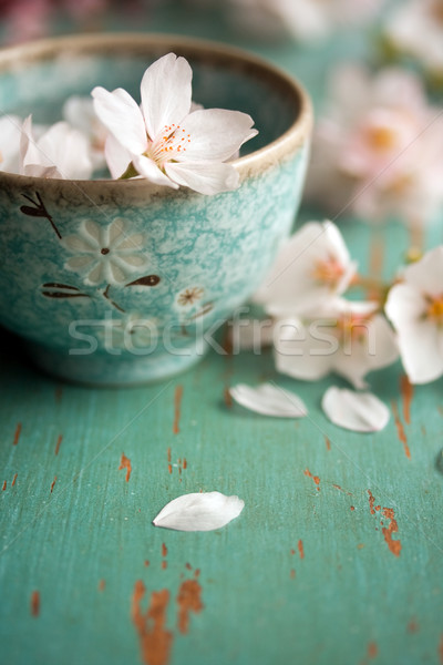 Cseresznyevirág virágok virág asztal cseresznye edény Stock fotó © susabell