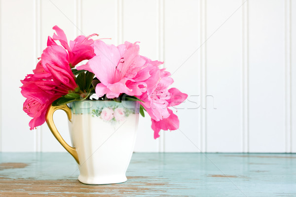 Tazza da tè azalea fiori fiore rosa petali Foto d'archivio © susabell