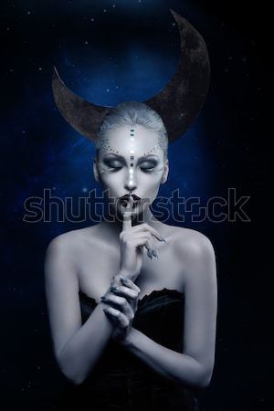 Portret winter koningin mooie jonge vrouw creatieve Stockfoto © svetography