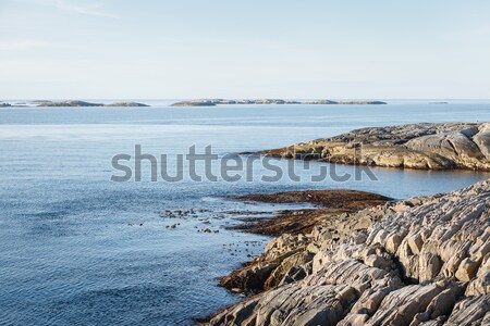Gyönyörű kilátás norvég szabadtér lövés copy space Stock fotó © svetography