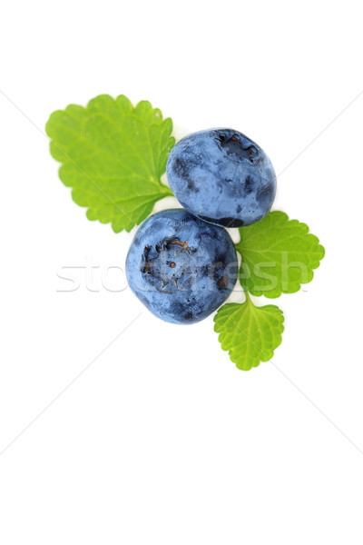blueberry berries isolated on white background Stock photo © svetography