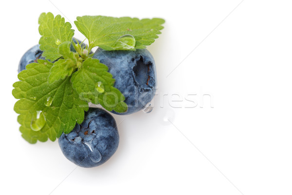 blueberry berries isolated on white background Stock photo © svetography