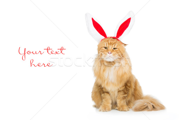 Big ginger cat in christmas rabbit ears head rim Stock photo © svetography