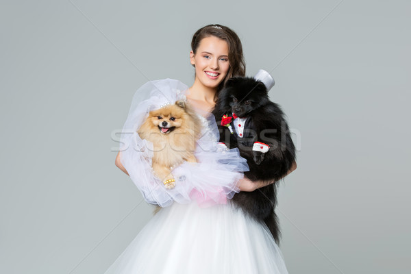 Foto stock: Noiva · menina · cão · casamento · casal · belo